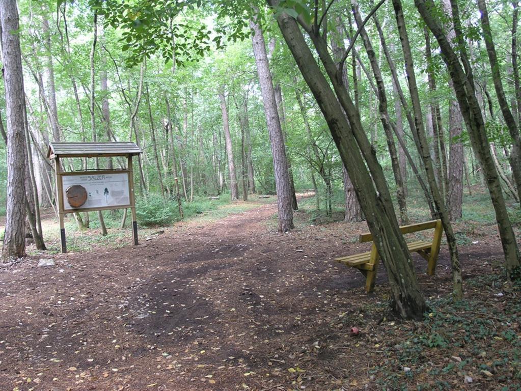 Stirenca B&B Трієст Екстер'єр фото